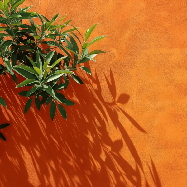 2_planta_pared_naranja